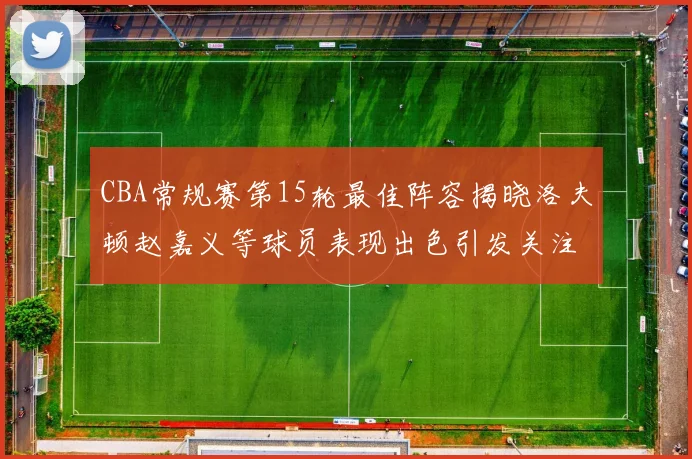 CBA常规赛第15轮最佳阵容揭晓洛夫顿赵嘉义等球员表现出色引发关注